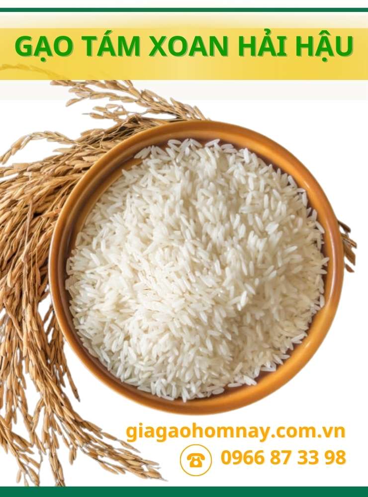 gạo tám xoan hải hậu